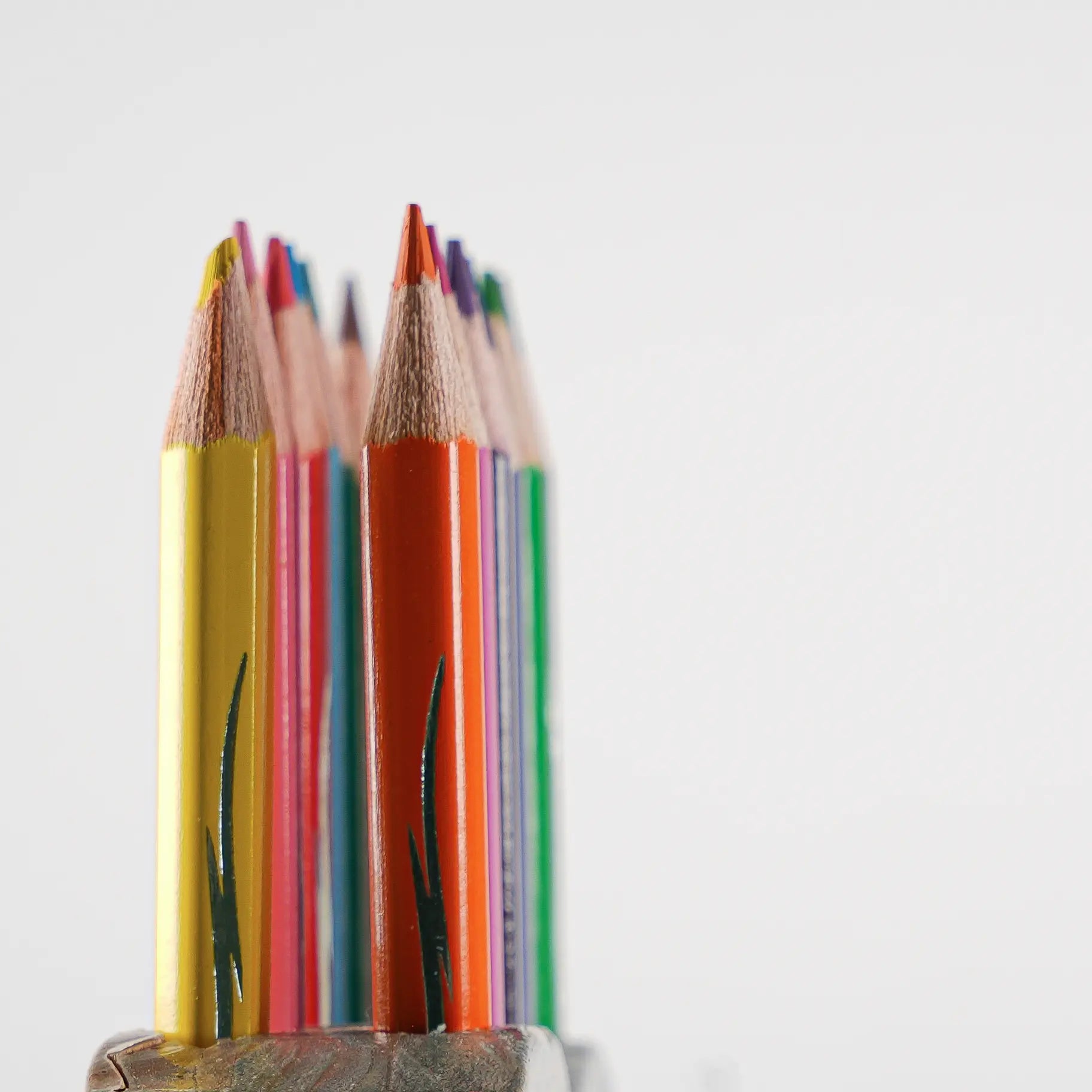 Porte-crayons en Bois en Forme d’Éléphant